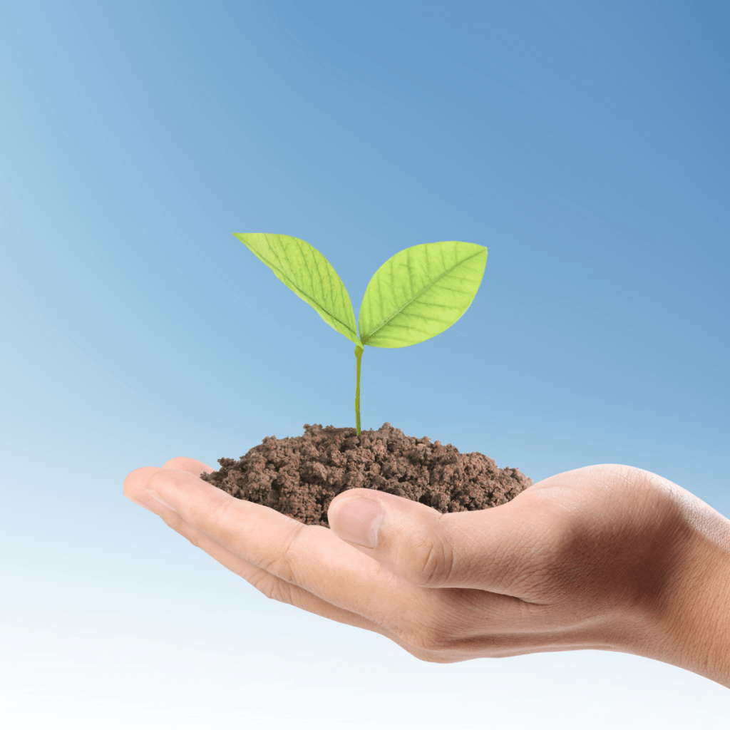 Dienstleistungen New Business Development